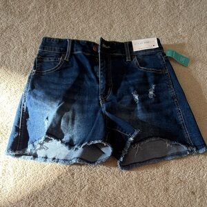 Classic Blue Distressed Jean Shorts